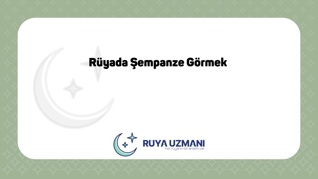 Rüya Uzmanı - Rüyada Şempanze Görmek - Rüyada Şempanze Görmek Ne Anlama Gelir?