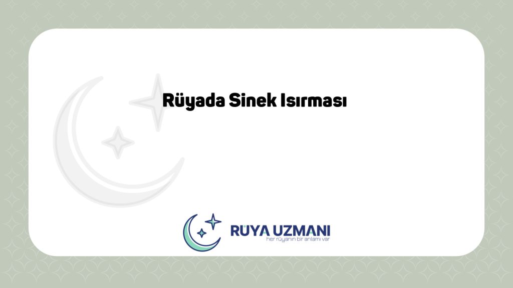 Rüya Uzmanı - Rüyada Sinek Isırması - Rüyada Sinek Isırması Ne Anlama Gelir?