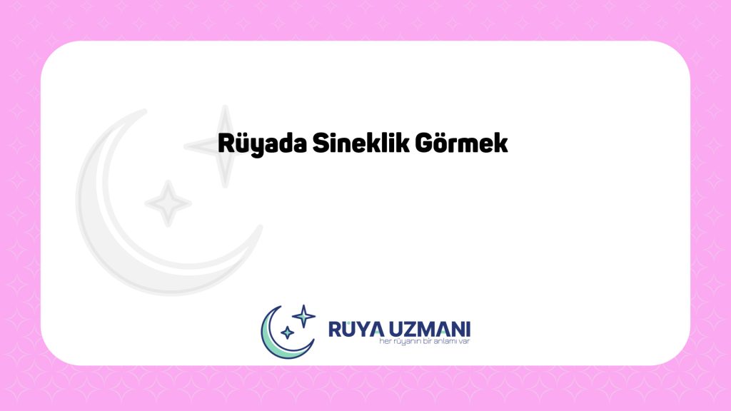 Rüya Uzmanı - Rüyada Sineklik Görmek - Rüyada Sineklik Görmek Ne Anlama Gelir?