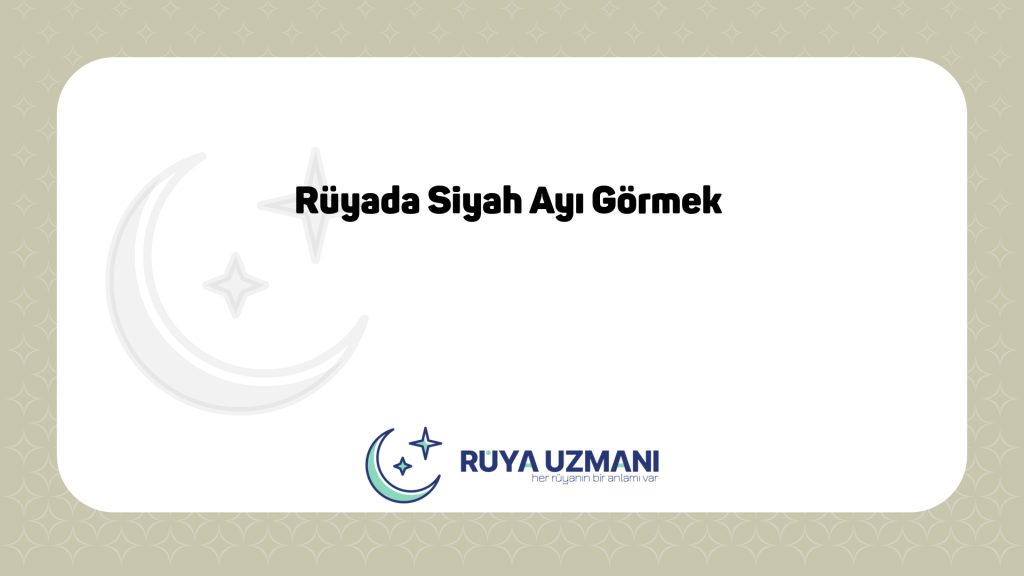 Rüya Uzmanı - Rüyada Siyah Ayı Görmek - Rüyada Siyah Ayı Görmek Ne Anlama Gelir?