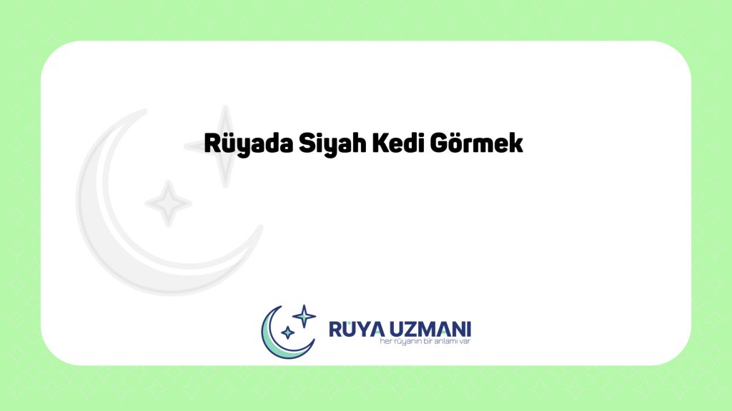 Rüya Uzmanı - Rüyada Siyah Kedi Görmek - Rüyada Siyah Kedi Görmek Ne Anlama Gelir?