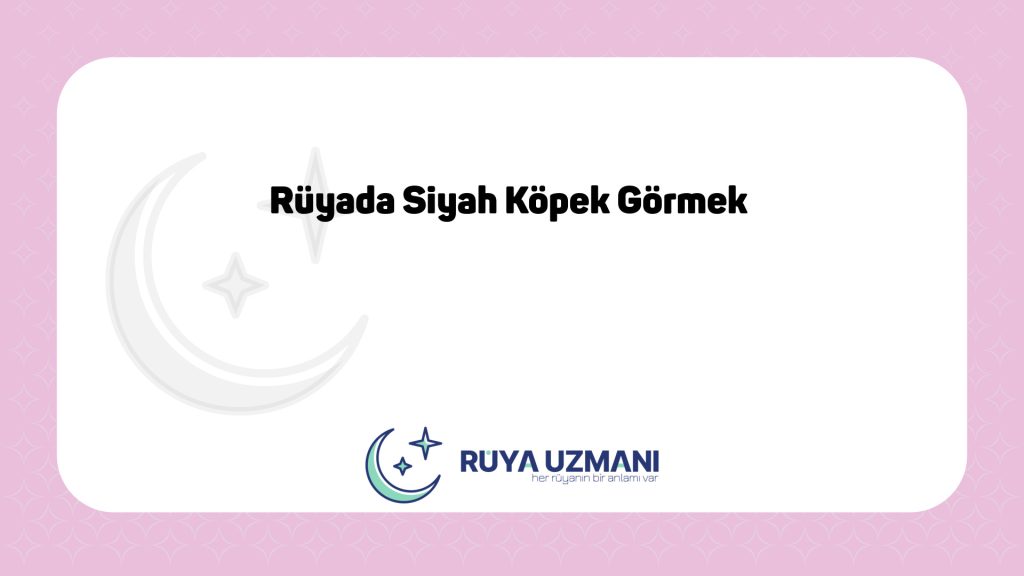 Rüya Uzmanı - Rüyada Siyah Köpek Görmek - Rüyada Siyah Köpek Görmek Ne Anlama Gelir?