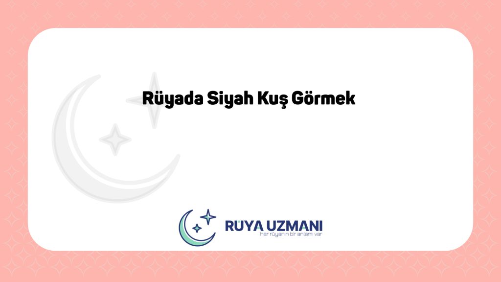 Rüya Uzmanı - Rüyada Siyah Kuş Görmek - Rüyada Siyah Kuş Görmek Ne Anlama Gelir?