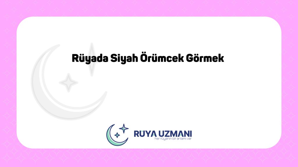 Rüya Uzmanı - Rüyada Siyah Örümcek Görmek - Rüyada Siyah Örümcek Görmek Ne Anlama Gelir?