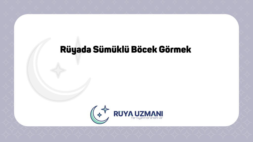 Rüya Uzmanı - Rüyada Sümüklü Böcek Görmek - Rüyada Sümüklü Böcek Görmek Ne Anlama Gelir?