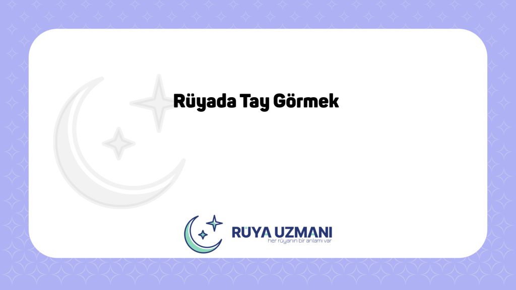 Rüya Uzmanı - Rüyada Tay Görmek - Rüyada Tay Görmek Ne Anlama Gelir?