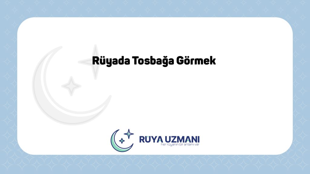 Rüya Uzmanı - Rüyada Tosbağa Görmek - Rüyada Tosbağa Görmek Ne Anlama Gelir?
