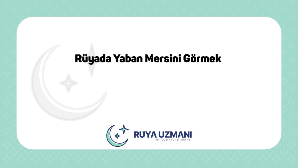 Rüya Uzmanı - Rüyada Yaban Mersini Görmek - Rüyada Yaban Mersini Görmek Ne Anlama Gelir?