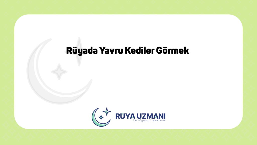 Rüya Uzmanı - Rüyada Yavru Kediler Görmek - Rüyada Yavru Kediler Görmek Ne Anlama Gelir?