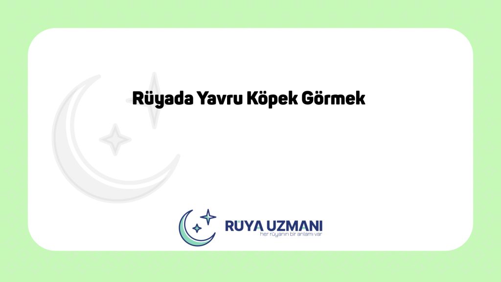 Rüya Uzmanı - Rüyada Yavru Köpek Görmek - Rüyada Yavru Köpek Görmek Ne Anlama Gelir?